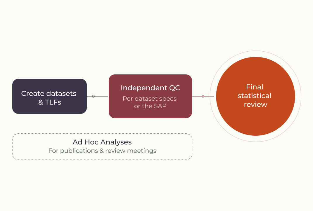 statistical_programming_workflow